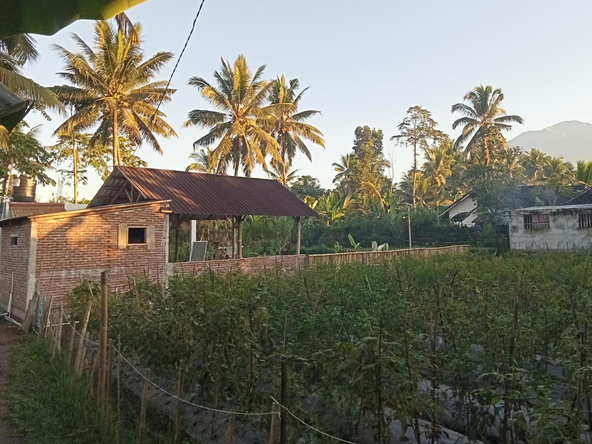 Stay Together Tetebatu Exterior photo