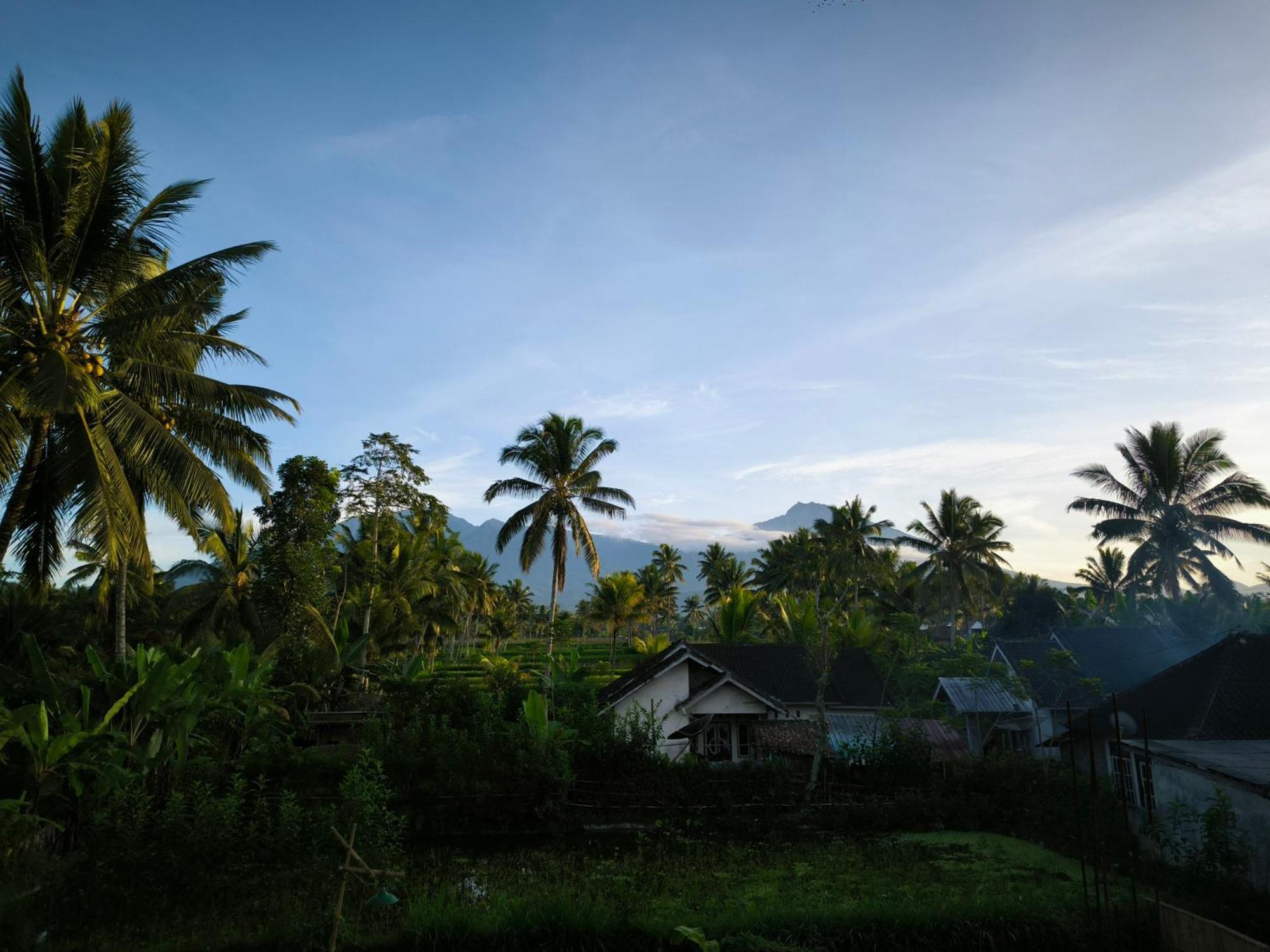 Stay Together Tetebatu Exterior photo