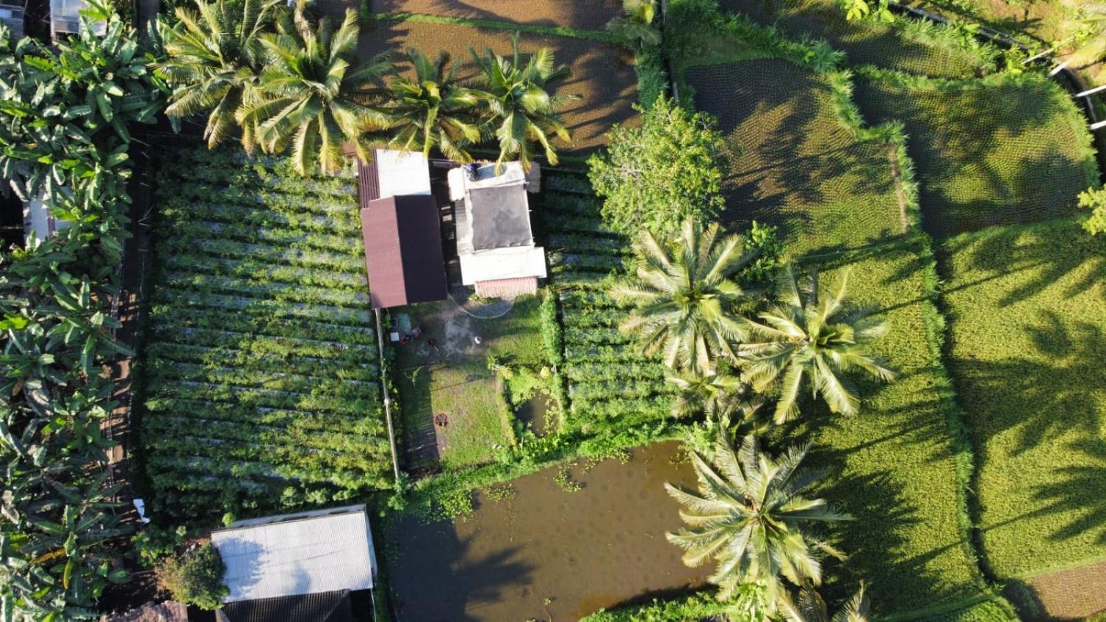 Stay Together Tetebatu Exterior photo